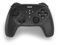 Bluetooth-Controller f&uuml;r Nintendo Switch/Lite schwarz