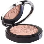 Maria Galland 820 Poudre Perfectrice &Eacute;clat - 10 Porcelaine 8 g