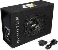 ESX QUANTUM Aktiv Active Subwoofer Bass Geh&auml;use mit Endstufe Verst&auml;rker QXB-8A