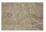 Webteppich Creation , beige , Synthetische Fasern , Ma&szlig;e (cm): B: 120