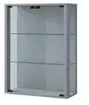 H&auml;ngevitrine Udina , silber , Ma&szlig;e (cm): B: 60 H: 80 T: 25.0