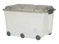 Rotho Rollbox mit Deckel Aufbewahrungsbox , grau , Kunststoff , Maße (cm): B:...