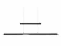 Fischer-Honsel LED-Pendelleuchte, schwarz-matt/Rauchglas , schwarz , Maße (cm): B: 9