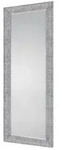 Spiegel 50 x 150 cm Vicky , silber , Kunststoff , Ma&szlig;e (cm): B: 2 H: 150