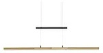 LED-Pendelleuchte , schwarz , Ma&szlig;e (cm): B: 105 H: 150 T: 10.0