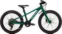 Specialized 96526-8120, Specialized Riprock 20'' Acolyte 2026 Mtb Bike Gr&uuml;n...
