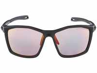 Alpina A8594531, Alpina Twist Five Qvm+ Mirrored Photochromic Sunglasses Schwarz