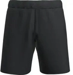 Icebreaker Herren Merino Blend Shifter II Shorts - XL - Black
