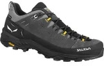 Salewa Herren Alp Trainer 2 GTX Wanderhalbschuh - 42.5 - onyx/black