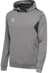 HUMMEL hmlAUTHENTIC PL HOODIE grey melange S