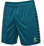 HUMMEL hmlAUTHENTIC PL SHORTS blue coral S