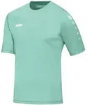Jako Trikot Team KA Minze 104