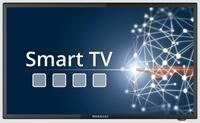 MEGASAT Royal Line Premium mit DVD 24' Zoll Smart Camping LED TV