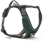 Wolters Active Pro Comfort Hundegeschirr anthrazit/ gr&uuml;n XXL