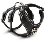 Wolters Active Pro Geschirr No Escape Geschirr Hundegeschirr schwarz/ silber XS