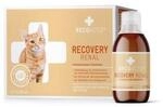 RECOACTIV Recovery Renal f&uuml;r Katzen, hochkalorisches Di&auml;t-Alleinfuttermittel, zur