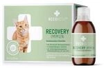 RECOACTIV Recovery Immun f&uuml;r Katzen, hochkalorisches Di&auml;t-Alleinfuttermittel,