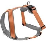 Hunter Geschirr Neopren schwarz/ orange L