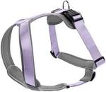 Hunter Geschirr Neopren lila/ grau M