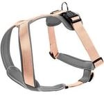 Hunter Geschirr Neopren orange/ grau S