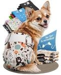HUND IST K&Ouml;NIG Windeln f&uuml;r H&uuml;ndinnen, saugstarke Windeln, 3-Fach justierbar...