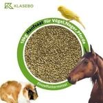 KLASEBO Hanfsaat, Hanfsamen, Futterhanf 10kg f&uuml;r V&ouml;gel, Nager und Pferde