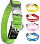 Petsation Leuchthalsband Hundehalsband gr&uuml;n M