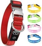 Petsation Leuchthalsband Hundehalsband rot M