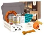 Wildfang Paket "Zauberbox" L