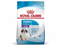 ROYAL CANIN Giant Puppy 15 kg