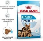ROYAL CANIN MAXI Starter 15kg