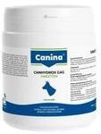 Canina Canhydrox GAG