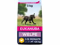 EUKANUBA Puppy Large Breed 3 kg, Grundpreis: &euro; 4,26 / kg