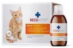 RECOACTIV Niere f&uuml;r Katzen, phosphorreduziert, 3 x 90 ml