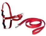 PetSafe Easy Walk Anti-Zieh-Hundegeschirr rot M