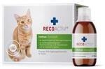 RECOACTIV Immun f&uuml;r Katzen, wirkungsvoller Appetitanreger, 3 x 90ml