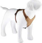 Hunter Geschirr Neopren braun/ caramell M-L