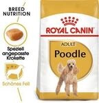 ROYAL CANIN Poodle Adult 3 kg