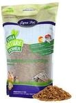 Lyra Pet Soldatenfliegenlarven 5 kg
