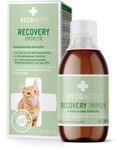 RECOACTIV Recovery Immun f&uuml;r Katzen, hochkalorisches Di&auml;t-Alleinfuttermittel,