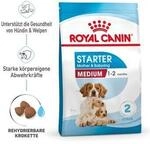 ROYAL CANIN Medium Starter 15 kg