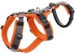 Hunter Sicherheitsgeschirr Maldon orange XS