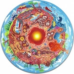 Hape Puzzle Unter der Erde 36 Teile