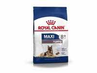 ROYAL CANIN SHN MAXI Ageing (8+) Hundetrockenfutter 15 Kilogramm