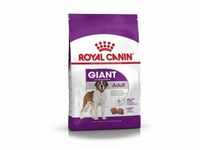 ROYAL CANIN SHN GIANT Adult 15kg Hundetrockenfutter