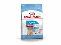 ROYAL CANIN SHN MEDIUM Puppy 15kg Hundetrockenfutter