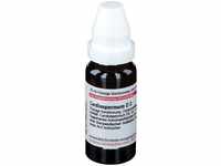 PZN-DE 02609969, DHU-Arzneimittel CARDIOSPERMUM D 3 Dilution 20 ml, Grundpreis: