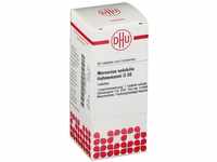 PZN-DE 02633815, DHU-Arzneimittel MERCURIUS SOLUBILIS Hahnemanni D 30 Tabletten 80 St