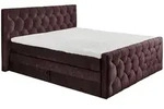 ED Lifestyle Cashfield 8 Boxspringbett Holzwerkstoff/Tonnentaschenfederkern H2