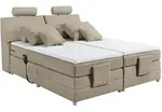 ED Lifestyle Palermo 2 Boxspringbett Tonnentaschenfederkern H2 180x200 cm -...